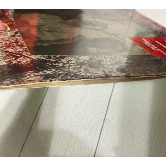 Icicle Works Self Titled Vinyl Record - Picture 7 of 10